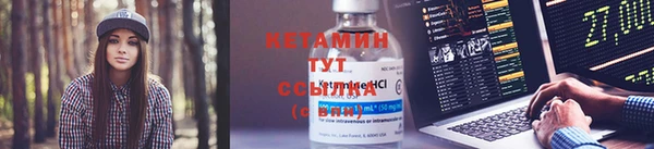 прущие грибы Белокуриха