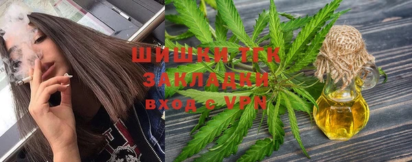 ГАЛЛЮЦИНОГЕННЫЕ ГРИБЫ Сосновка