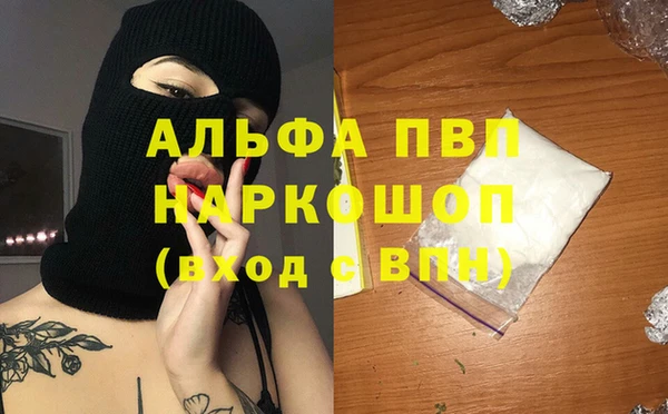 прущие грибы Белокуриха