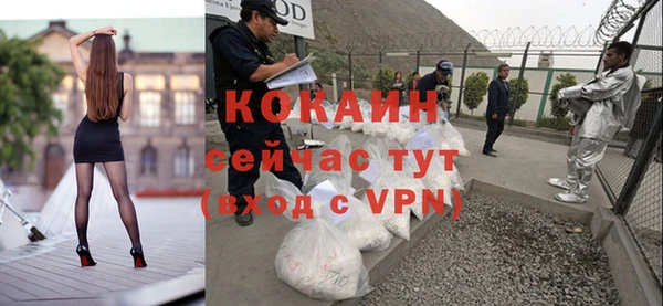 прущие грибы Белокуриха