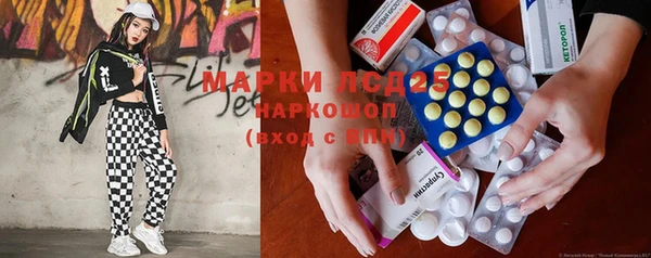 прущие грибы Белокуриха
