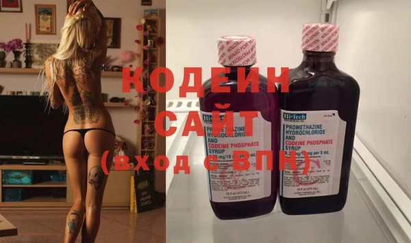 прущие грибы Белокуриха